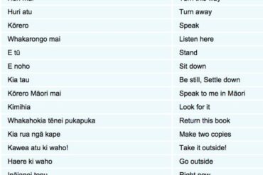 mÄori language phrases